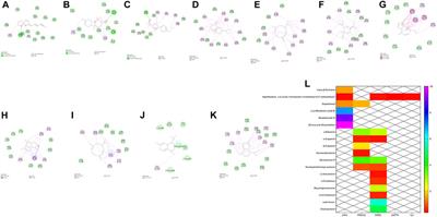 The Mechanism Action of German Chamomile (Matricaria recutita L.) in the Treatment of Eczema: Based on Dose–Effect Weight Coefficient Network Pharmacology